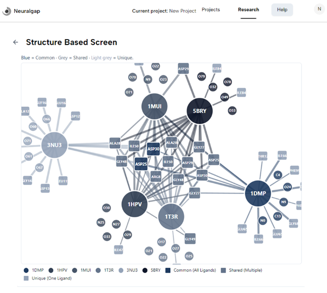 Interaction map of common and unique contacts across ligands