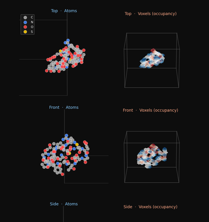 VOX voxel encoding - peptide structures rasterized into 3D charge-aware grids