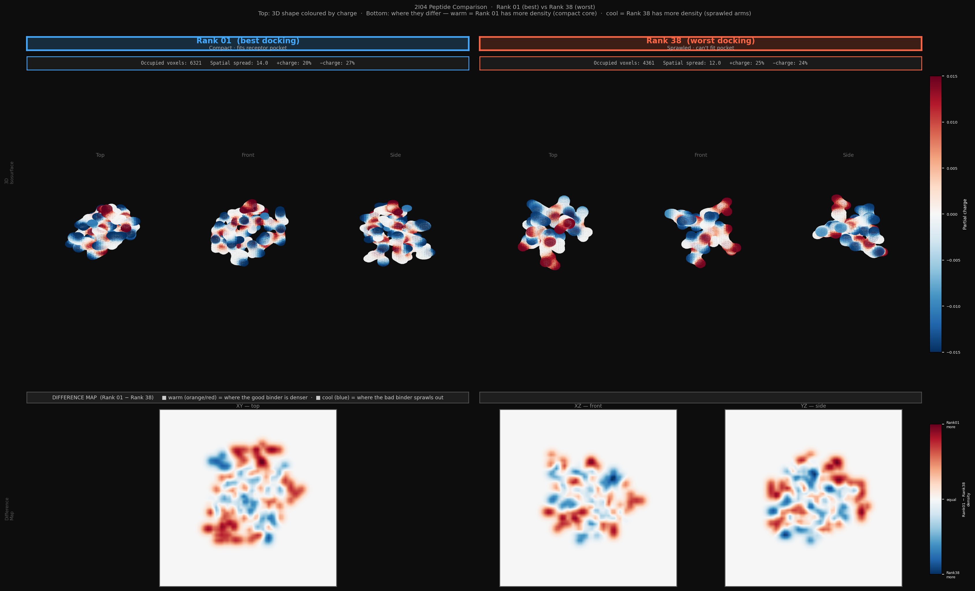 Voxel comparison between Rank 01 best-docking and Rank 38 worst-docking peptide, with charge-coloured 3D views and difference map